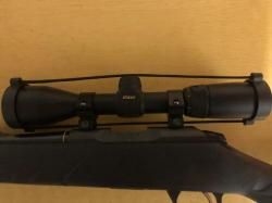 sako quad 22 wmr