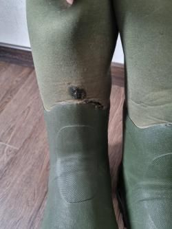 Сапоги фирмы Seeland