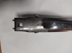 Sauer 12