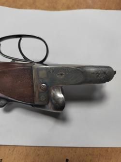 Sauer 12