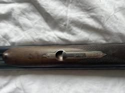 Sauer 16