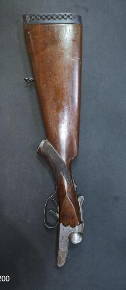 Sauer 16 