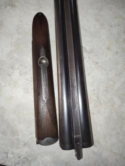 Sauer, 20 калибр