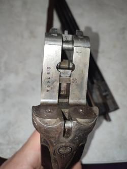 Sauer, 20 калибр