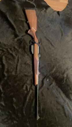 Sauer 202 300 win mag