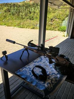 Sauer 202 300WM