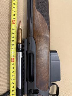 Sauer 202 Wolverine 243win