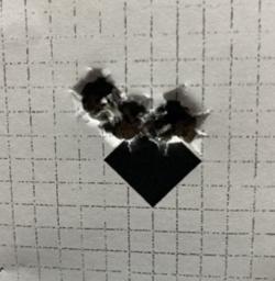 Sauer 202 Wolverine 243win