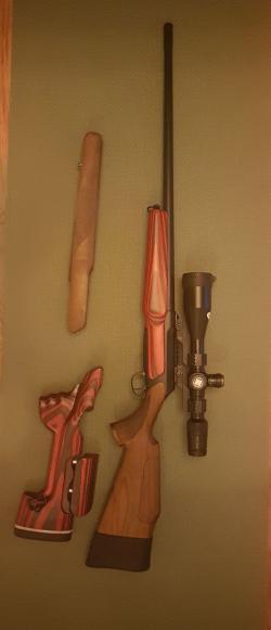 Sauer 202 wolverine 308 win