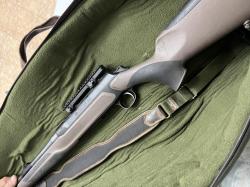SAUER 303 Forest 