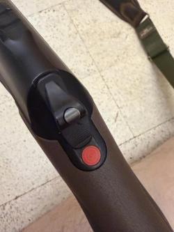 SAUER 303 Forest 