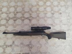 SAUER 303