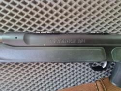 Sauer 303