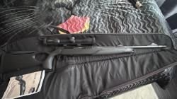 SAUER 303