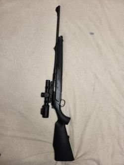Sauer 303