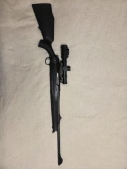 Sauer 303
