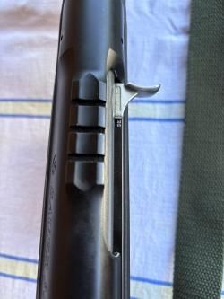 Sauer 303