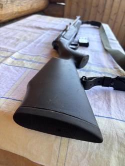 Sauer 303