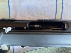 Sauer 303
