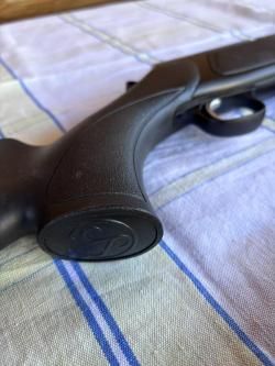 Sauer 303