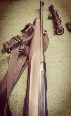 Sauer 303 
