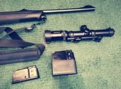 Sauer 303 