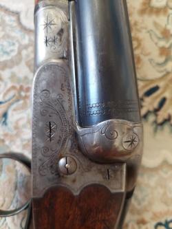 Sauer 8