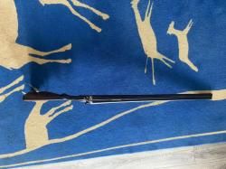 Sauer калибр 12