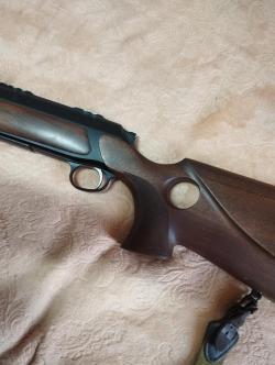 Sauer303