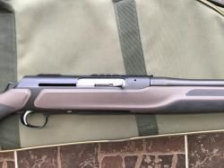 Sauer303