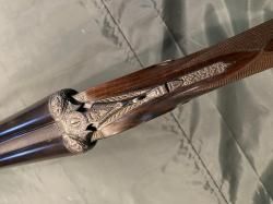 Sauer