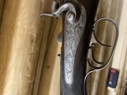 Sauer
