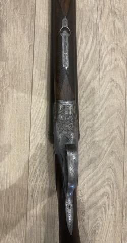 Sauer