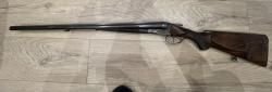 Sauer
