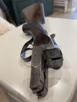 Sauer