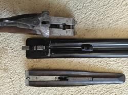 Sauer