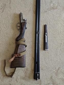 Sauer