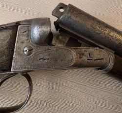 SAUER