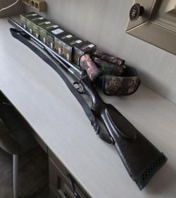 SAUER