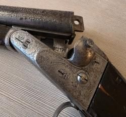 SAUER
