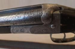 SAUER