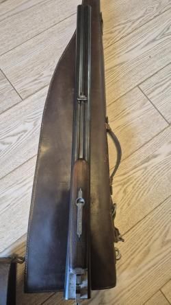 Sauer
