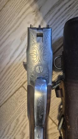 Sauer