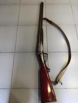 SAUER