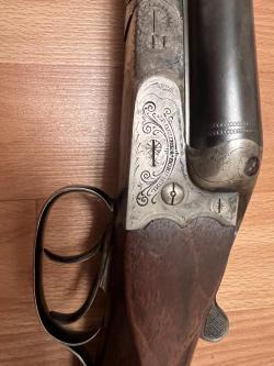 SAUER
