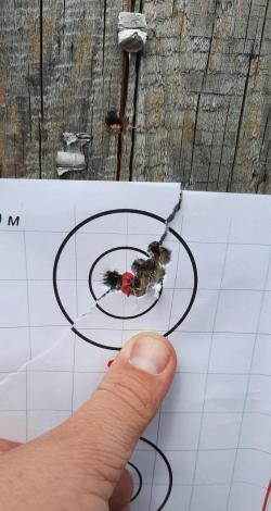 Savage 114 classic 300 win mag