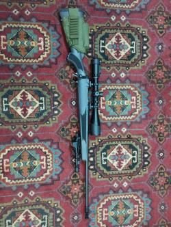 Savage 223rem