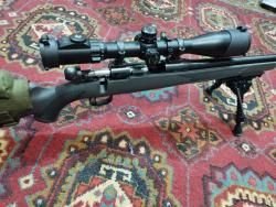 Savage 223rem