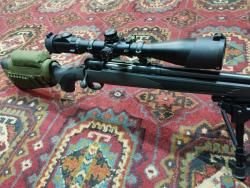 Savage 223rem