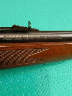 SAVAGE 93 
